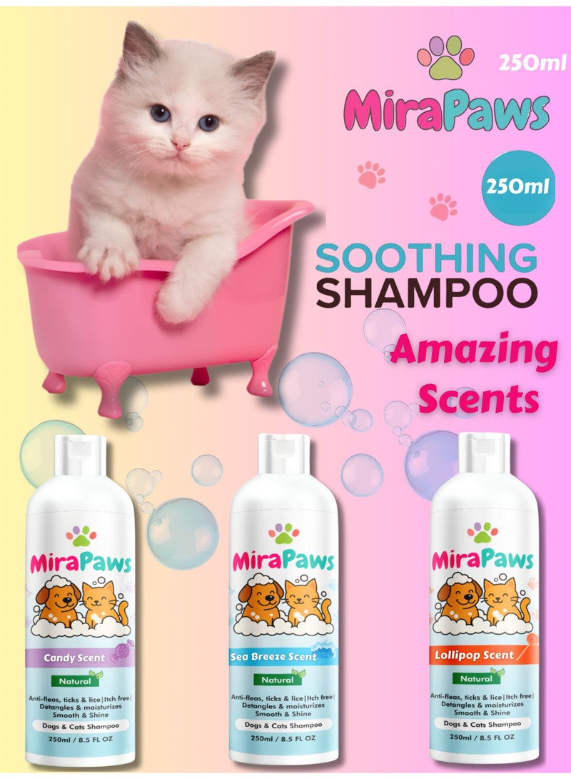 MiraPaws Pets Shampoo - Candy Scent 250ml + Sea Breeze Sent 250ml + Lollipop Sent 250ml (Pack of 3) - Image 3